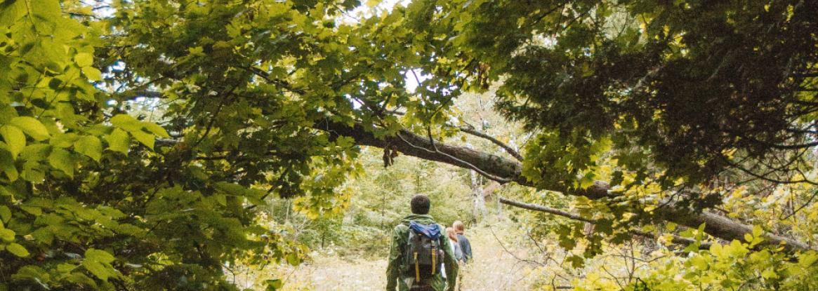 Hiking trails nearby Le Relais des Landes